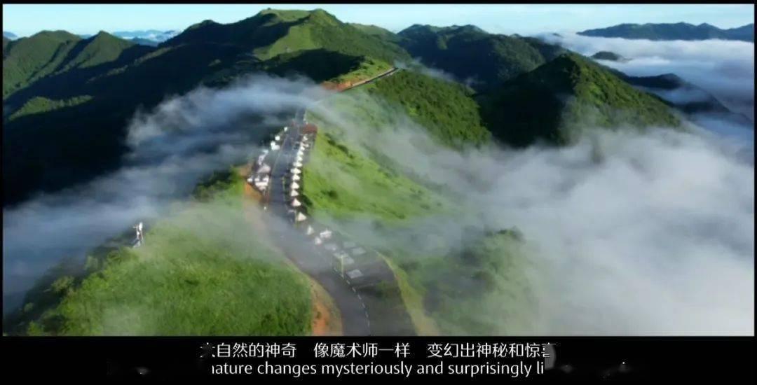 去年的“牛基”，新动向来了……